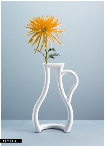 Обзор необычных дизайнерских ваз